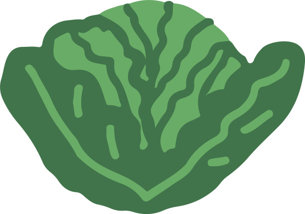 卷心菜图标贴纸手绘蔬菜涂鸦图片下载