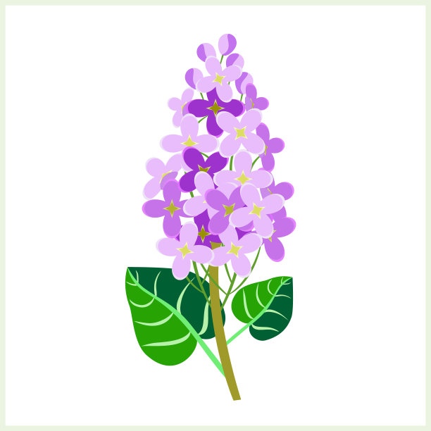 Vector -丁香花图案。图片下载