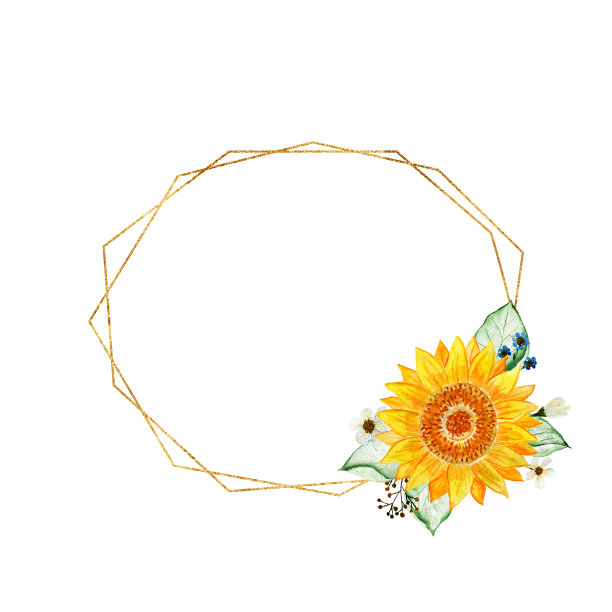 金色框架与向日葵和叶子的元素。束向日葵。水彩插花。请柬和明信片的插图图片下载