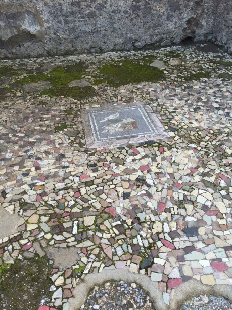 庞贝城的马赛克图片下载