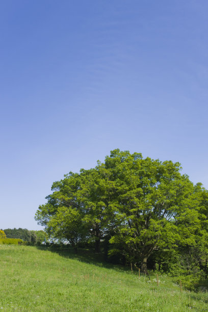 格林公园图片下载