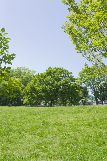 格林公园图片下载