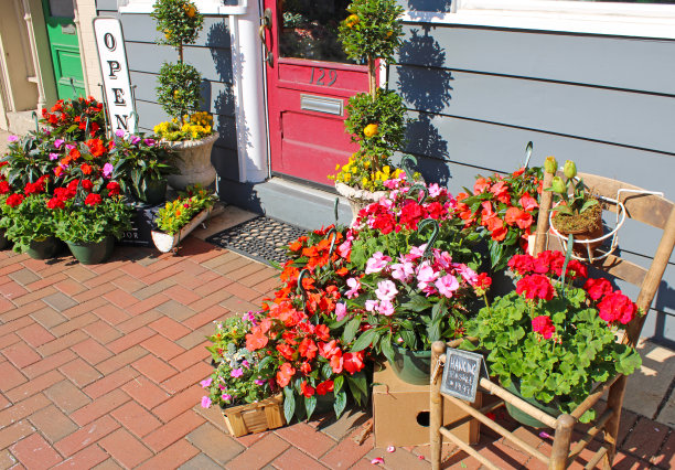 花盆-花商在兰开斯特，俄亥俄州，美国图片下载