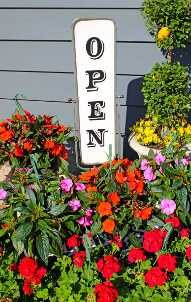 花盆-花商在兰开斯特，俄亥俄州，美国图片下载