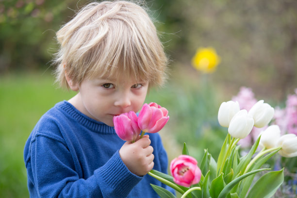 金发小男孩，孩子，拿着一个插着郁金香的花瓶给妈妈，是母亲节的礼物图片下载