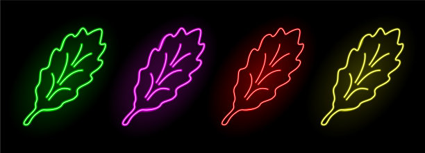 线条艺术与闪亮的霓虹灯橡树叶集图片下载