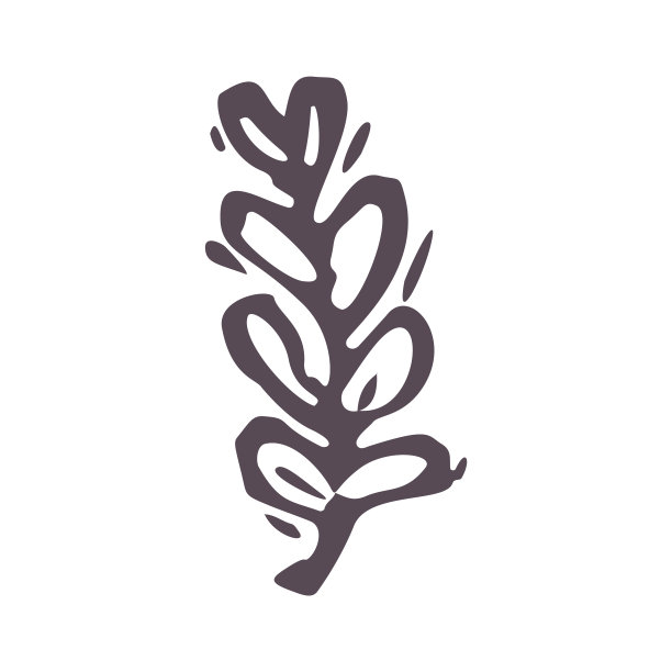 手工雕刻粗体打印叶图标剪贴艺术。民俗插画设计元素。现代波西米亚风格的装饰印花。民族柔和的自然色调。孤立的乡村向量基序。图片下载