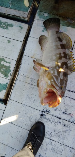 在济州岛钓鱼图片下载