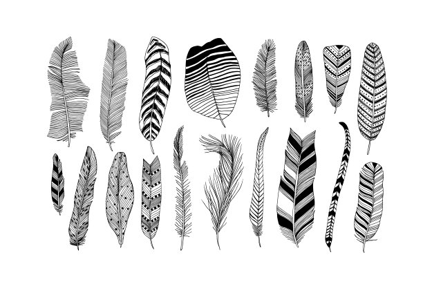 乡村装饰羽毛向量收集。图片下载