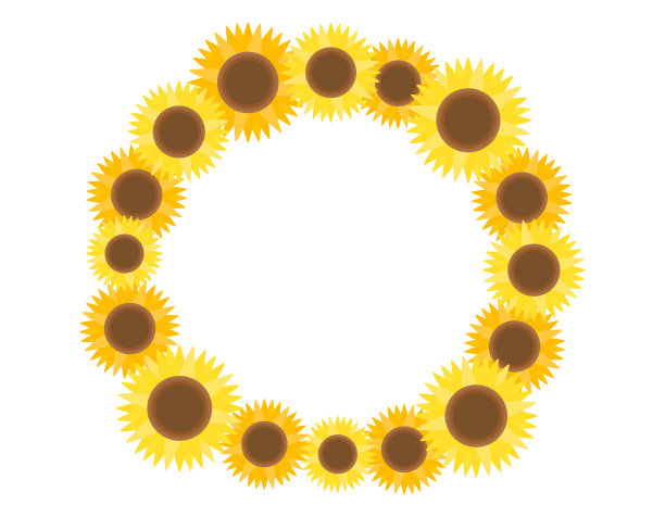 向日葵矢量图。夏天的花。图片下载