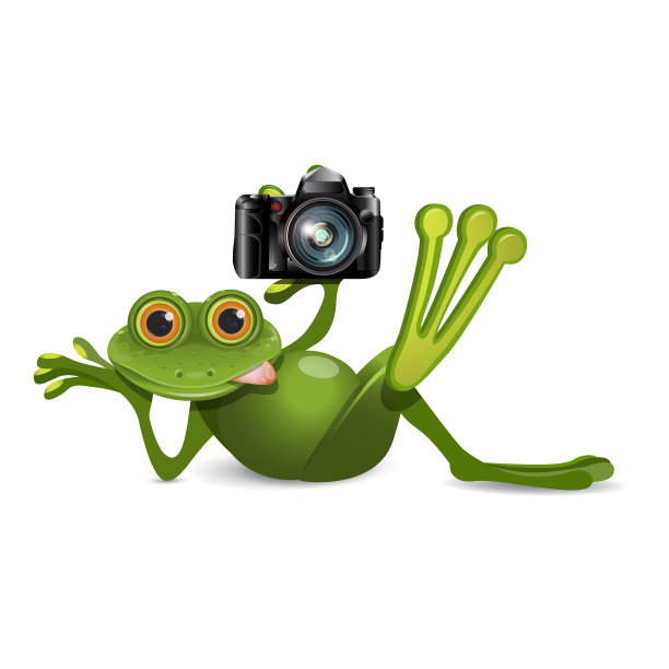 蛙式照相机图片下载