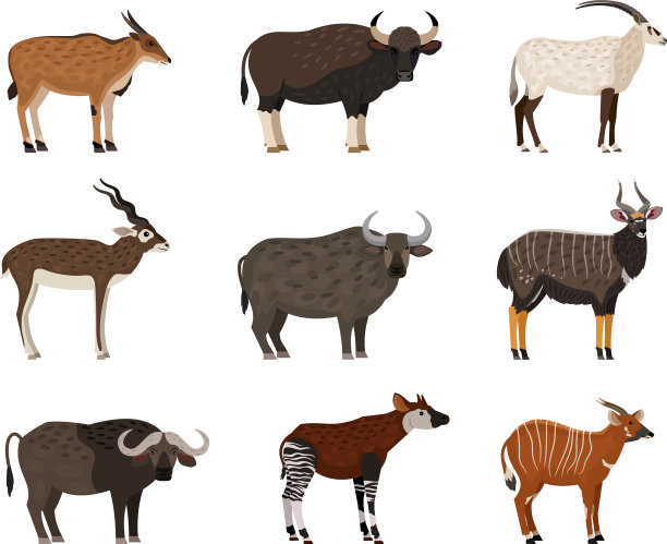 非洲野生动物角色设置在东部邦戈图片下载