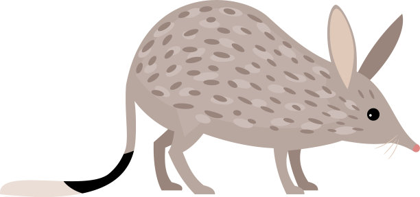 兔子bandicoot卡通动物园人物图片下载