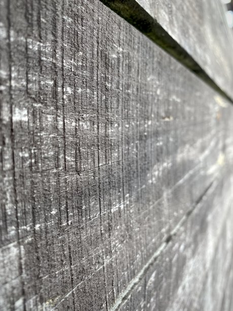 浮雕木纹理，老木背景图片下载