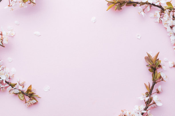 春天开花。五月的花和四月的花的自然在粉红色的背景。枝头开花的杏花用柔和的宏聚焦。为复活节和春天的贺卡副本空间。春天。图片下载