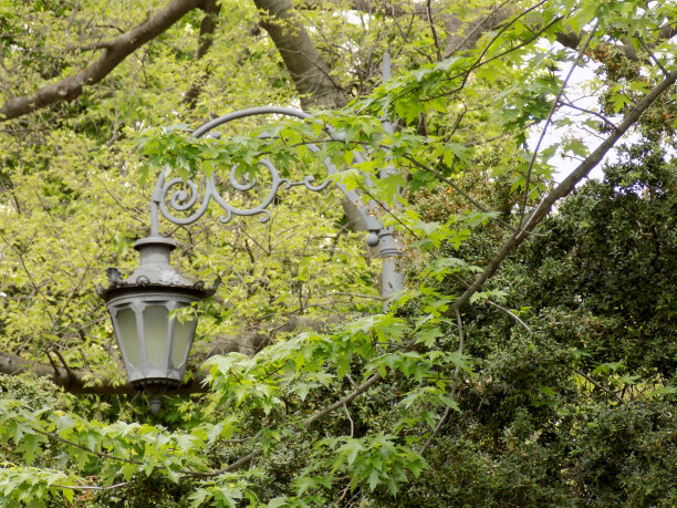 城市公园里的复古风格街灯图片下载