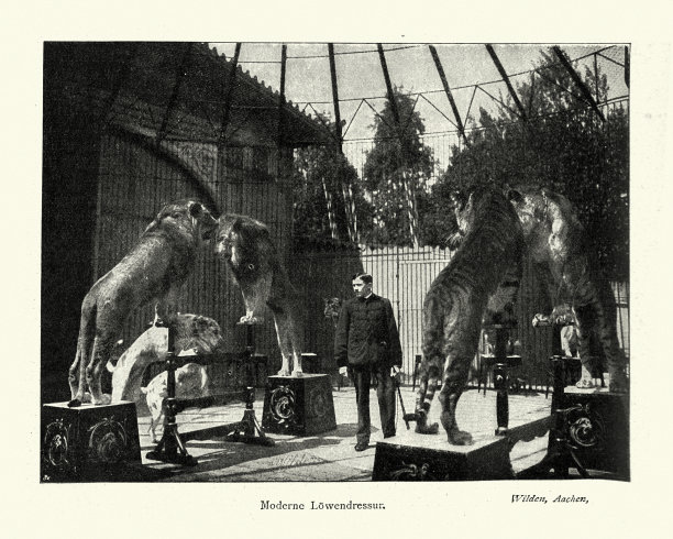 马戏团，狮子和老虎驯兽师，亚琛，德国，维多利亚19世纪图片下载