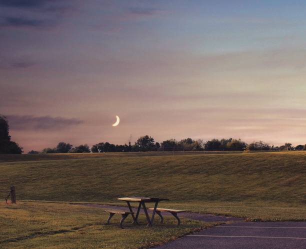 颜色野餐卫星图片下载