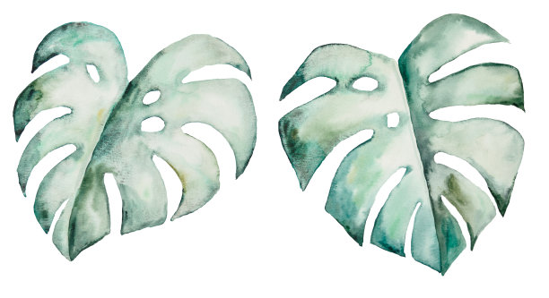 水彩怪物热带树叶插图图片下载