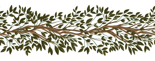 白色背景上有叶子的细枝图片下载