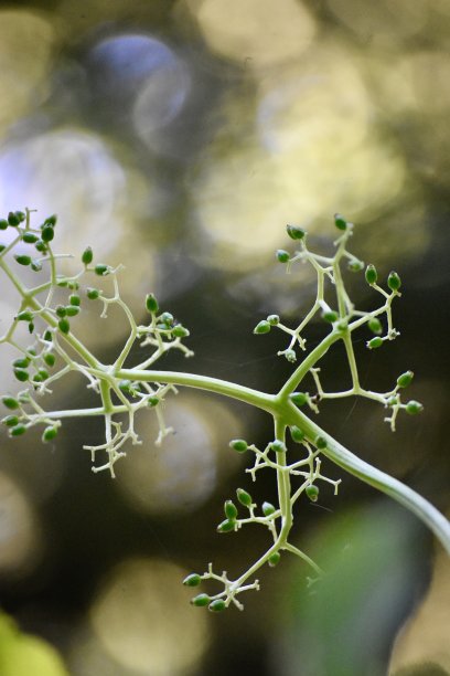 靠近大自然图片下载