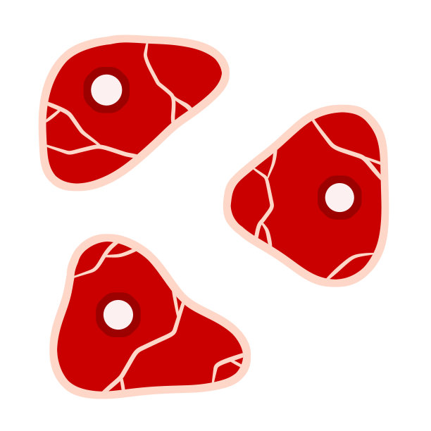 一块生肉。布朗油炸面。一套带有条纹和脂肪的新鲜红色食物。卡通平面插图。切半块牛肉。厨房、烧烤、牛排和美味佳肴的元素图片下载