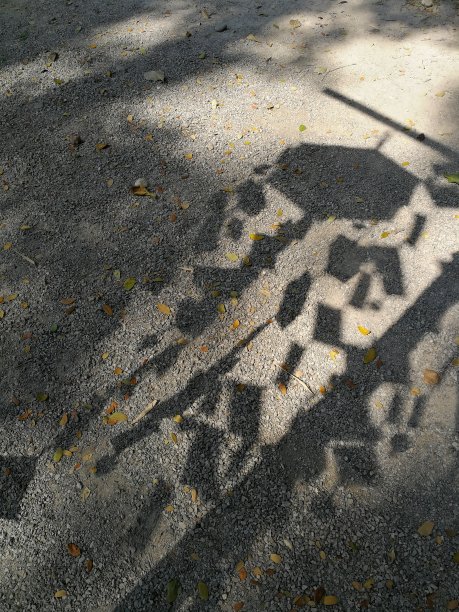 地面上移动的影子图片下载