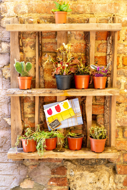 植物木架图片下载