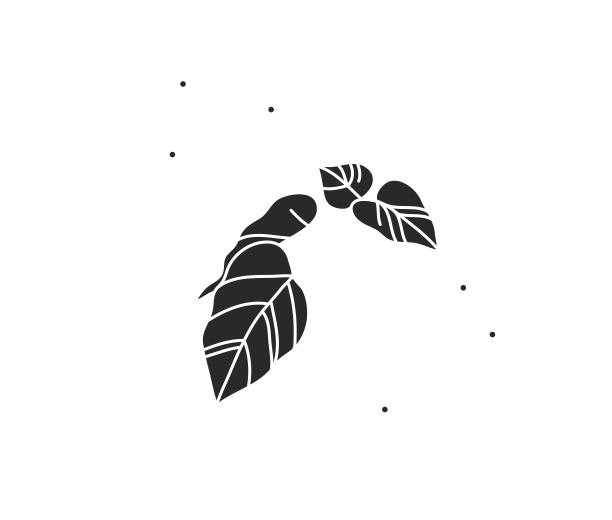 手绘矢量抽象股票平面图形插图与标志元素，魔术花树叶树枝剪影在简单的风格的品牌，孤立的颜色背景图片下载
