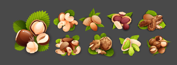 坚果成分，适用于标签和不干胶图片下载