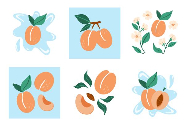 杏。珍奇的热带桃子或杏子的新鲜水果收集，整个多汁的桃子有绿叶和花，切片和仁。矢量卡通极简主义风格孤立的插图图片下载