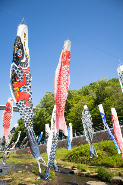 鲤鱼飘浮在蓝天。图片下载