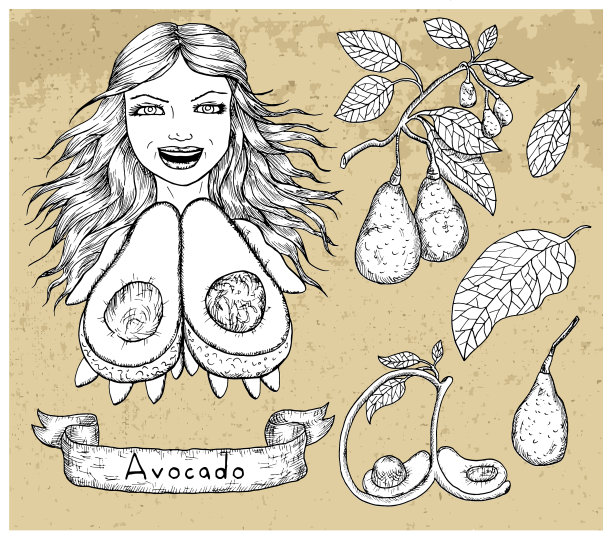 设计集美丽的女人拿着鳄梨图片下载