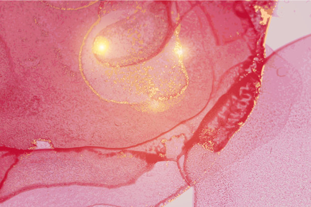 洋红与金石大理石图案搭配图片下载