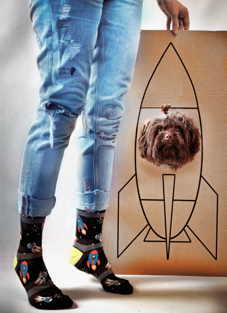 可爱的小棕色狗坐在火箭准备首次飞行图片下载