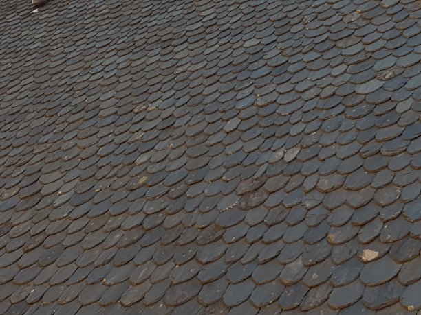 lauze屋顶图片下载