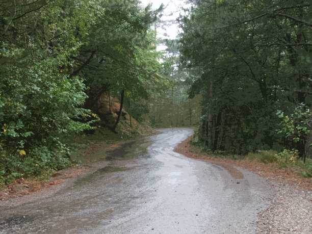 雨后森林路，贴花四下图片下载