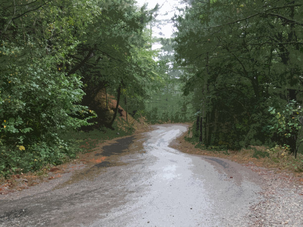 雨后森林路，贴花2号图片下载