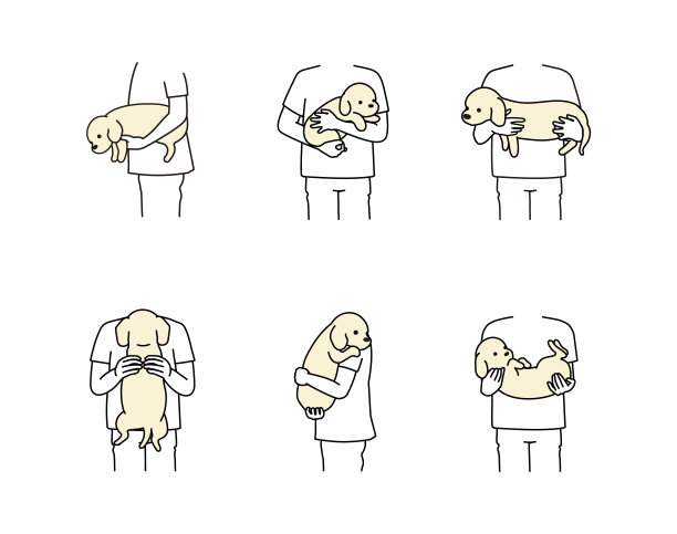 如何判断狗的对错。图片下载