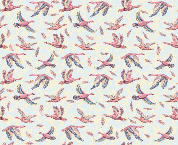 纹理背景与鸭子和鹅飞行图片下载