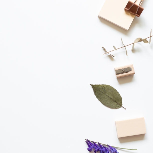 办公室的桌子上。记事本，夹子，卷笔刀，白色背景上的橡皮擦。俯视图，复制空间图片下载