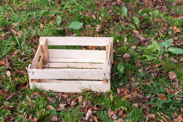 草地上有一个落叶的木箱图片下载