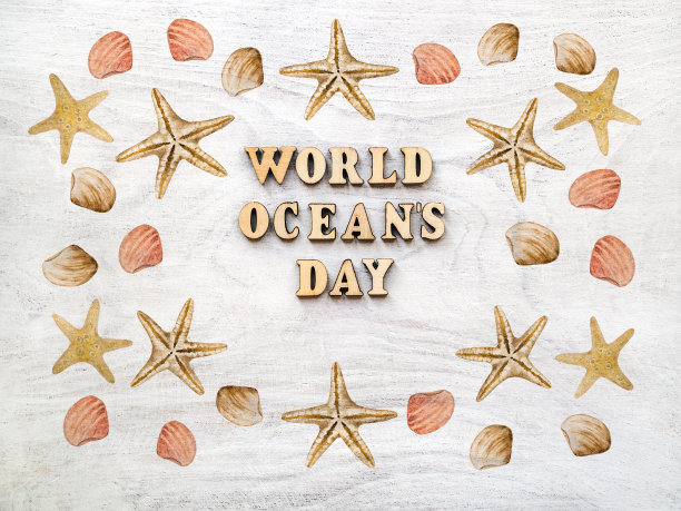 世界海洋日。漂亮的卡片。特写,俯视图图片下载