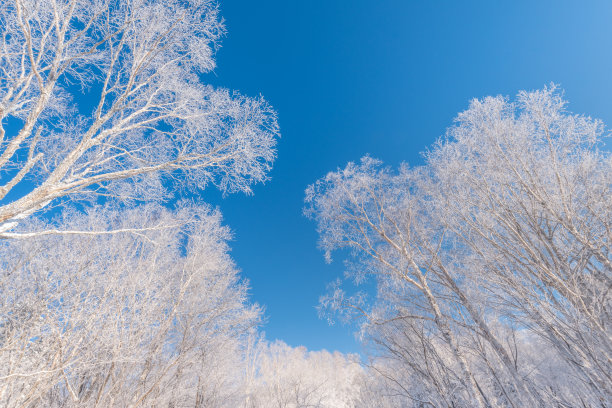 中国吉林省长白山冬季降雪和雾凇图片下载