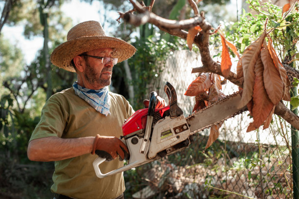 一位老人正在果园里砍树图片下载