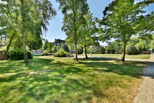 公园里有绿色的草坪和树木图片下载