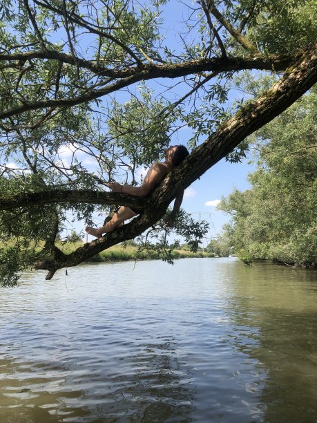在水面上的树上休息的人图片下载