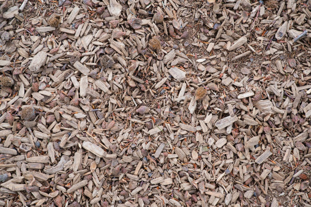 树皮覆盖物作为背景彩色照片图片下载