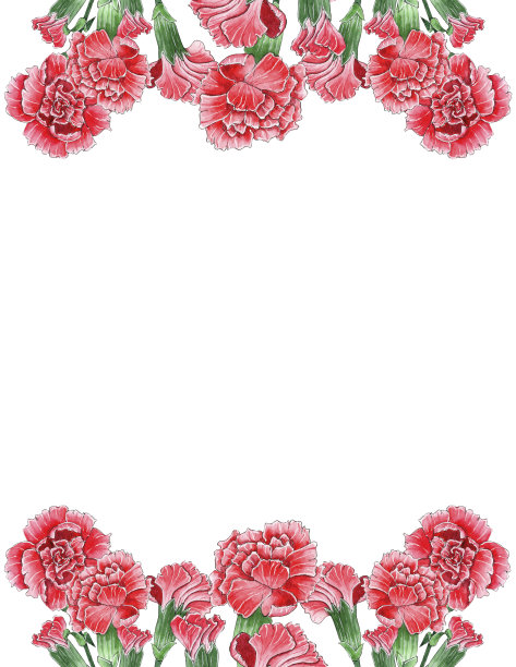 水彩康乃馨花边框，花模板。图片下载