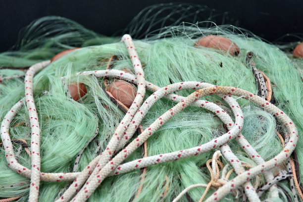 渔网详细资料图片下载